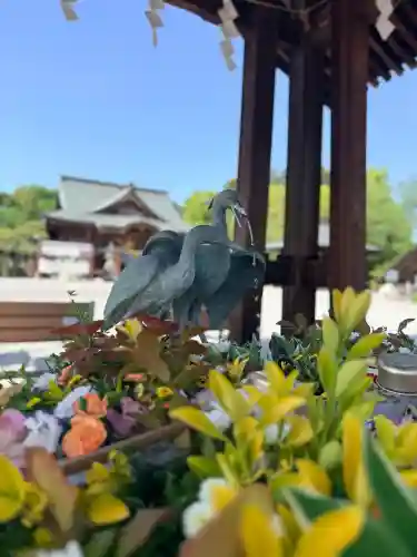白鷺神社の{uncategorized: "未分類", other: "その他", undefined: "問題あり", building: "その他建物", grave: "お墓", sacred_gate: "鳥居", guardian: "狛犬", statue: "像", buddha: "仏像", history: "歴史", nature: "自然", garden: "庭園", animal: "動物", pagoda: "塔", temizu: "手水舎", mountain_gate: "山門・神門", sanctuary: "本殿・本堂", subordinate: "末社・摂社", art: "芸術", scenery: "景色", jizo: "地蔵", ema: "絵馬", goshuin: "御朱印", omikuji: "おみくじ", items: "授与品その他", amulet: "お守り", goshuincho: "御朱印帳", eats: "食事", festival: "お祭り", votive_dance: "神楽", shichigosan: "七五三参", wedding: "結婚式", experience: "体験その他", initially: "初詣", around: "周辺", anti_infection: "感染症対策"}