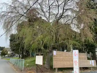 台渡里八幡神社の{uncategorized: "未分類", other: "その他", undefined: "問題あり", building: "その他建物", grave: "お墓", sacred_gate: "鳥居", guardian: "狛犬", statue: "像", buddha: "仏像", history: "歴史", nature: "自然", garden: "庭園", animal: "動物", pagoda: "塔", temizu: "手水舎", mountain_gate: "山門・神門", sanctuary: "本殿・本堂", subordinate: "末社・摂社", art: "芸術", scenery: "景色", jizo: "地蔵", ema: "絵馬", goshuin: "御朱印", omikuji: "おみくじ", items: "授与品その他", amulet: "お守り", goshuincho: "御朱印帳", eats: "食事", festival: "お祭り", votive_dance: "神楽", shichigosan: "七五三参", wedding: "結婚式", experience: "体験その他", initially: "初詣", around: "周辺", anti_infection: "感染症対策"}