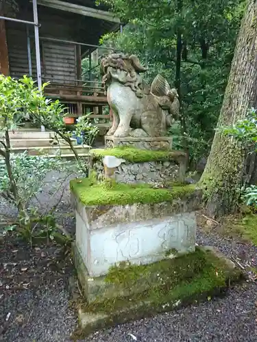 五皇神社の狛犬