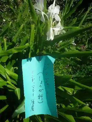 常栄寺のその他建物