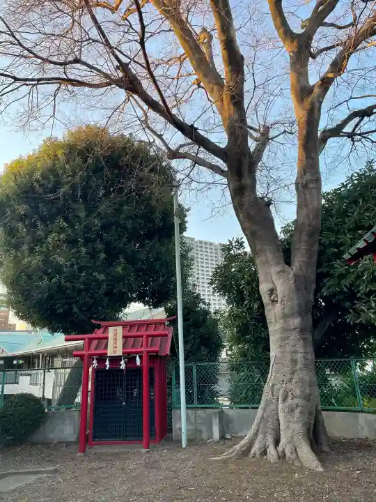 大宮浅間神社の{uncategorized: "未分類", other: "その他", undefined: "問題あり", building: "その他建物", grave: "お墓", sacred_gate: "鳥居", guardian: "狛犬", statue: "像", buddha: "仏像", history: "歴史", nature: "自然", garden: "庭園", animal: "動物", pagoda: "塔", temizu: "手水舎", mountain_gate: "山門・神門", sanctuary: "本殿・本堂", subordinate: "末社・摂社", art: "芸術", scenery: "景色", jizo: "地蔵", ema: "絵馬", goshuin: "御朱印", omikuji: "おみくじ", items: "授与品その他", amulet: "お守り", goshuincho: "御朱印帳", eats: "食事", festival: "お祭り", votive_dance: "神楽", shichigosan: "七五三参", wedding: "結婚式", experience: "体験その他", initially: "初詣", around: "周辺", anti_infection: "感染症対策"}
