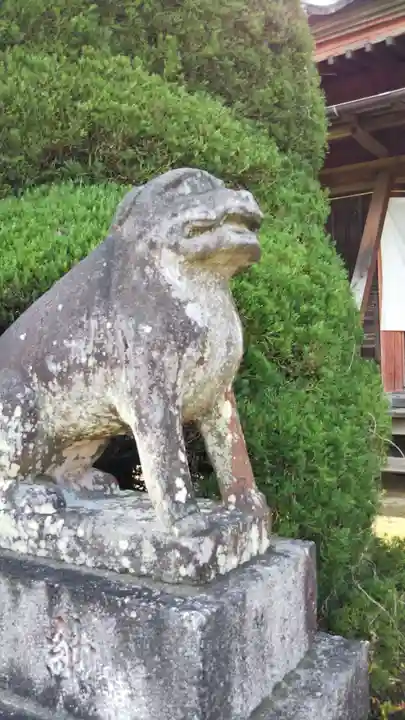 冨士浅間神社の狛犬