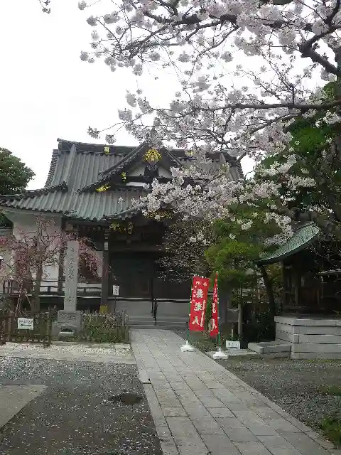 妙隆寺の本殿・本堂