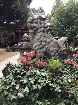 柏諏訪神社の狛犬