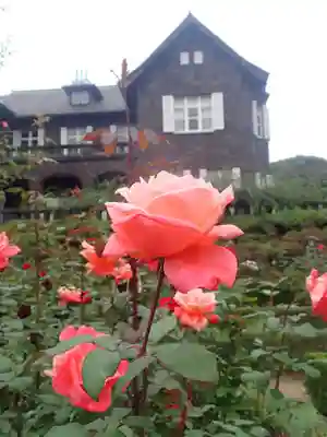 駒込妙義神社(東京都)