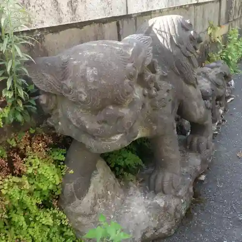 開運出世稲荷(延命院境内社)の狛犬