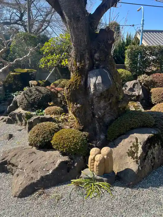 松應寺(東京都)