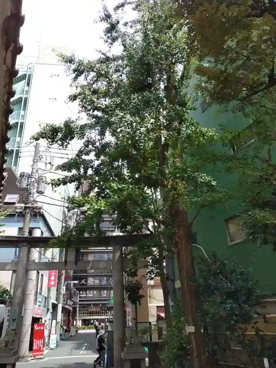 銀杏岡八幡神社(東京都)