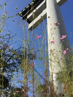 室蘭八幡宮(北海道)