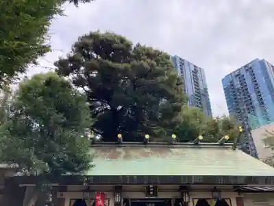 品川貴船神社(東京都)