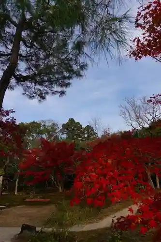 興福寺の庭園