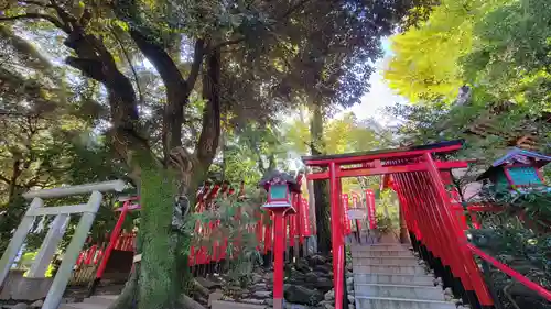 乃木神社の鳥居