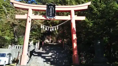 尾崎神社の鳥居