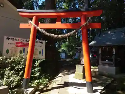西堀氷川神社の末社・摂社