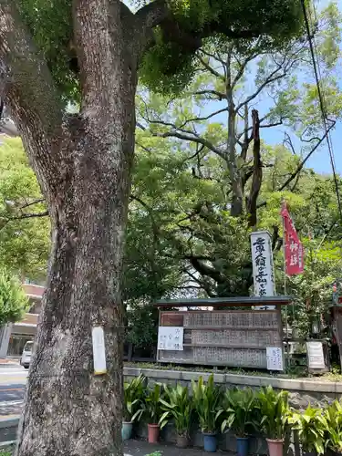 若一神社の自然