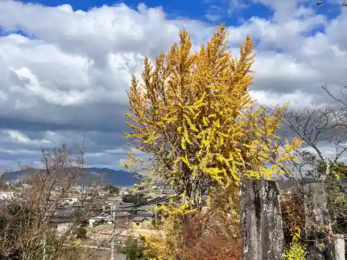 粟井神社(香川県)