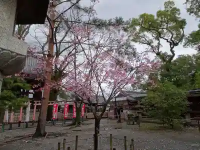 豊国神社のその他建物