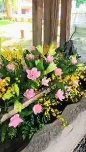 彌彦神社 (伊夜日子神社)の手水舎(2023年07月09日(日) 10時08分21秒投稿)