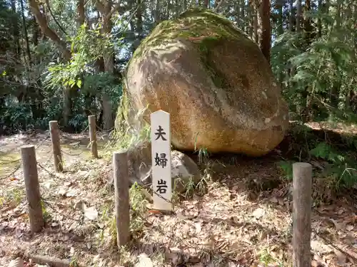 倭文神社の自然