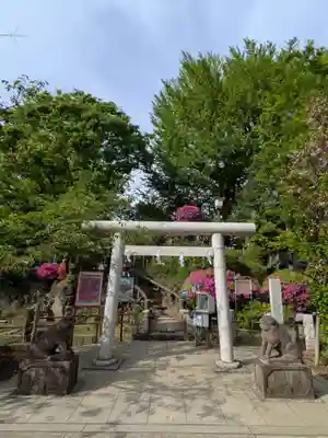 鳩森八幡神社(東京都)