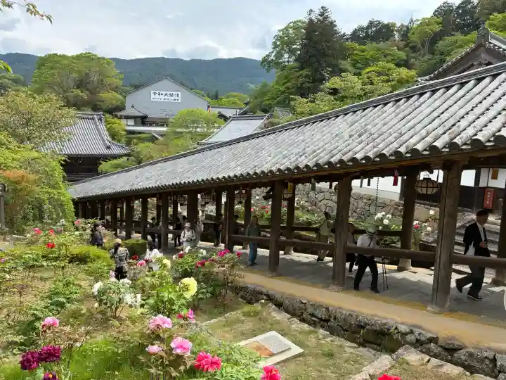 長谷寺の{uncategorized: "未分類", other: "その他", undefined: "問題あり", building: "その他建物", grave: "お墓", sacred_gate: "鳥居", guardian: "狛犬", statue: "像", buddha: "仏像", history: "歴史", nature: "自然", garden: "庭園", animal: "動物", pagoda: "塔", temizu: "手水舎", mountain_gate: "山門・神門", sanctuary: "本殿・本堂", subordinate: "末社・摂社", art: "芸術", scenery: "景色", jizo: "地蔵", ema: "絵馬", goshuin: "御朱印", omikuji: "おみくじ", items: "授与品その他", amulet: "お守り", goshuincho: "御朱印帳", eats: "食事", festival: "お祭り", votive_dance: "神楽", shichigosan: "七五三参", wedding: "結婚式", experience: "体験その他", initially: "初詣", around: "周辺", anti_infection: "感染症対策"}