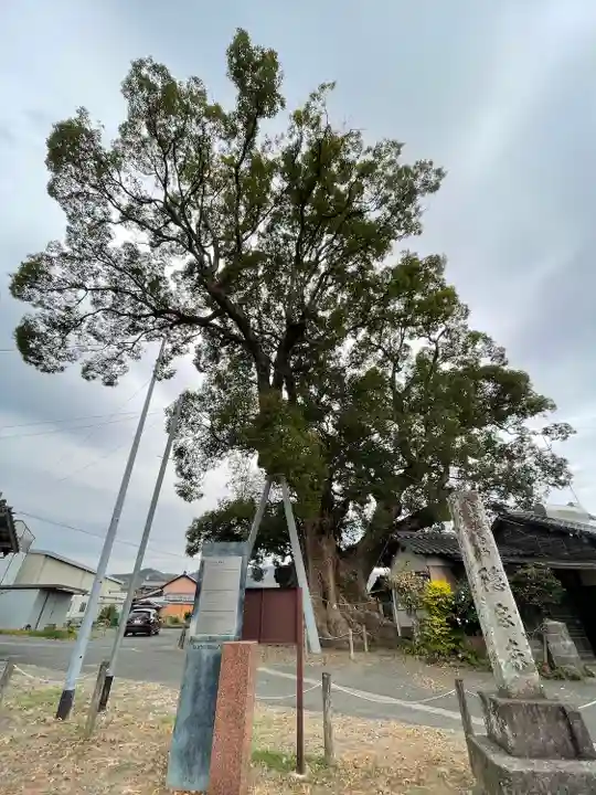 隠家の森の自然