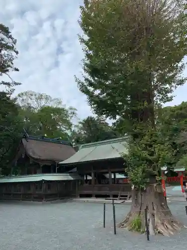 宗像大社中津宮の本殿・本堂