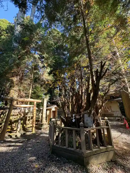 幣立神宮(熊本県)