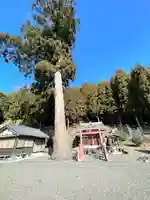 稲荷神社(滋賀県)