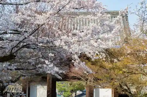 石山寺の山門