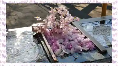 根岸八幡神社(神奈川県)