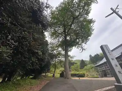 歌渓院(福井県)