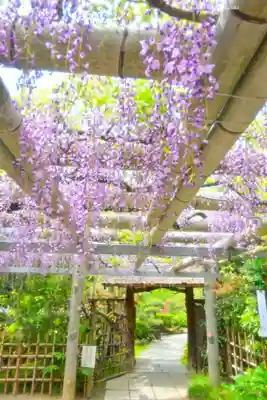 越ヶ谷久伊豆神社(埼玉県)