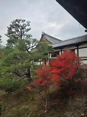 東福禅寺（東福寺）(京都府)
