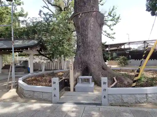 阿麻美許曽神社のその他建物