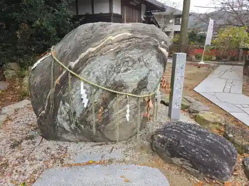 稗田野神社(薭田野神社)(京都府)