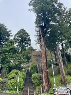 最福寺(千葉県)