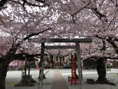 七郷神社の{uncategorized: "未分類", other: "その他", undefined: "問題あり", building: "その他建物", grave: "お墓", sacred_gate: "鳥居", guardian: "狛犬", statue: "像", buddha: "仏像", history: "歴史", nature: "自然", garden: "庭園", animal: "動物", pagoda: "塔", temizu: "手水舎", mountain_gate: "山門・神門", sanctuary: "本殿・本堂", subordinate: "末社・摂社", art: "芸術", scenery: "景色", jizo: "地蔵", ema: "絵馬", goshuin: "御朱印", omikuji: "おみくじ", items: "授与品その他", amulet: "お守り", goshuincho: "御朱印帳", eats: "食事", festival: "お祭り", votive_dance: "神楽", shichigosan: "七五三参", wedding: "結婚式", experience: "体験その他", initially: "初詣", around: "周辺", anti_infection: "感染症対策"}