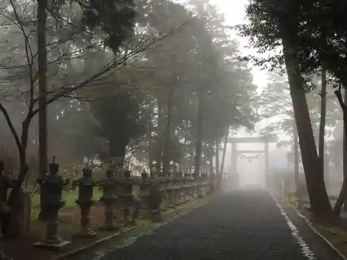 伊奈冨神社の鳥居