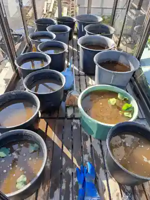 極楽山 浄土寺(北海道)