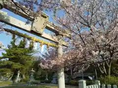 白山神社の鳥居