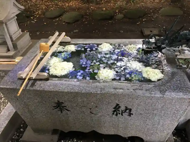 今宮神社の手水舎