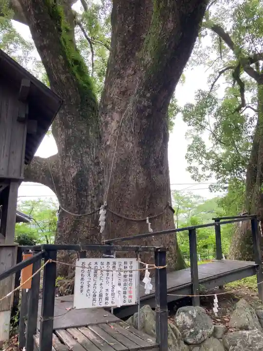 藤白神社(和歌山県)