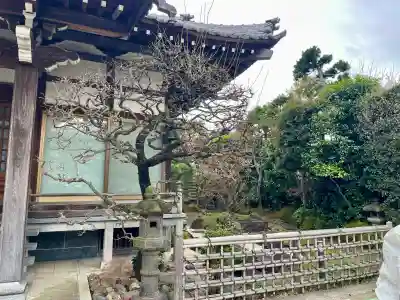 浄桂院の{uncategorized: "未分類", other: "その他", undefined: "問題あり", building: "その他建物", grave: "お墓", sacred_gate: "鳥居", guardian: "狛犬", statue: "像", buddha: "仏像", history: "歴史", nature: "自然", garden: "庭園", animal: "動物", pagoda: "塔", temizu: "手水舎", mountain_gate: "山門・神門", sanctuary: "本殿・本堂", subordinate: "末社・摂社", art: "芸術", scenery: "景色", jizo: "地蔵", ema: "絵馬", goshuin: "御朱印", omikuji: "おみくじ", items: "授与品その他", amulet: "お守り", goshuincho: "御朱印帳", eats: "食事", festival: "お祭り", votive_dance: "神楽", shichigosan: "七五三参", wedding: "結婚式", experience: "体験その他", initially: "初詣", around: "周辺", anti_infection: "感染症対策"}