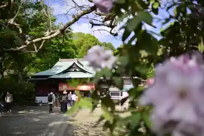 正福寺(茨城県)