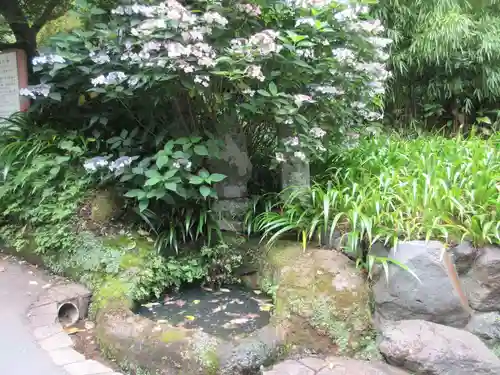 海蔵寺(神奈川県)