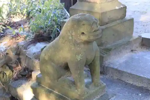 三渡神社の狛犬