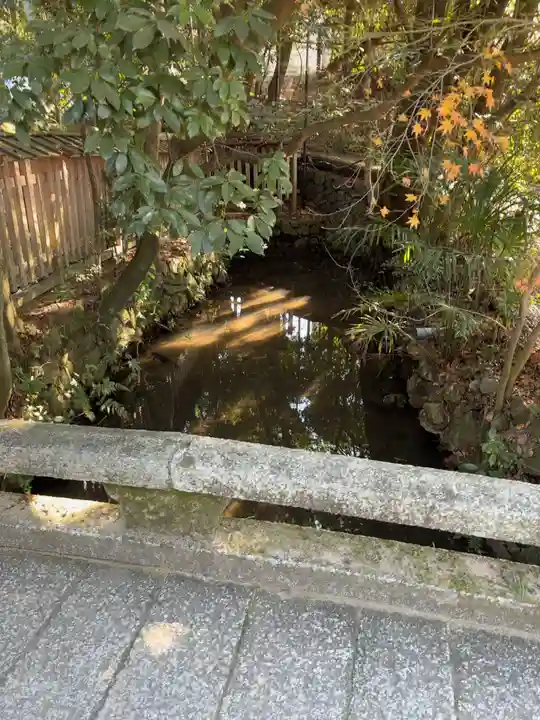 宇治上神社の庭園