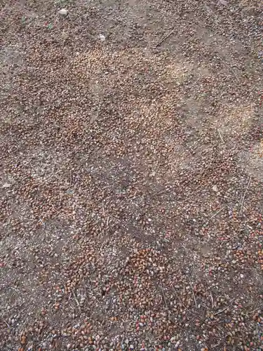 香取神社(千葉県)
