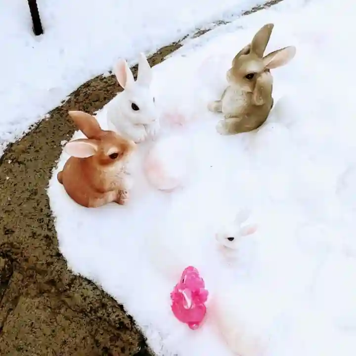 彌彦神社 (伊夜日子神社)の像